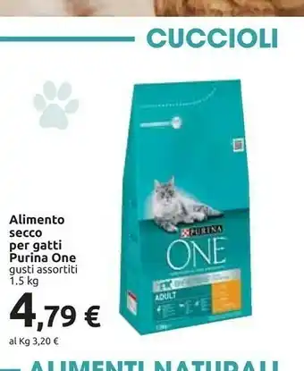 Carrefour Purina Cibo per gatti offerta