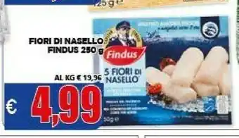 Vivo Supermercati Findus Nasello offerta