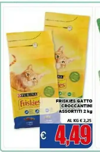 Vivo Supermercati Friskies Cibo per gatti offerta