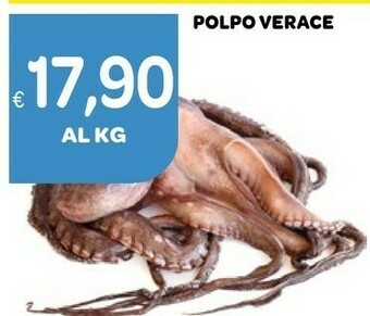 Ekom Polpo Verace offerta