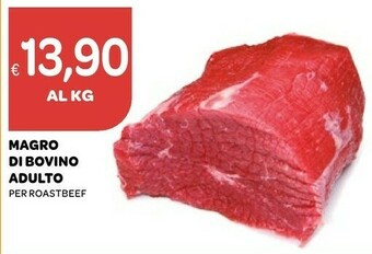 Ekom Magro Di Bovino Adulto Per Roastbeef offerta