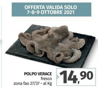 Pam Pesche offerta