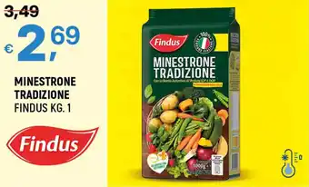 A&O MINESTRONE TRADIZIONE FINDUS KG. 1 offerta