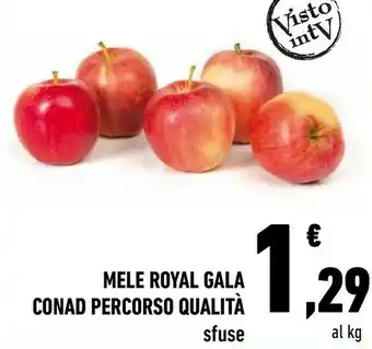 Conad Conad Royal Mele Gala offerta