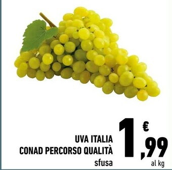 Conad Conad Uva Italia Percorso Qualita offerta