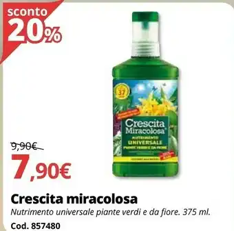 Crescita Miracolosa