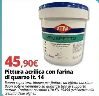 Brico Io Attiva Pittura Acrilica Con Farina Di Quarzo offerta