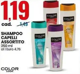 Eurospin Color Look Shampoo Capelli Assortito 250ml offerta