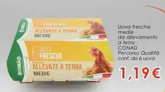 Conad Conad Uova fresche medie da allevamento a terra 6 uova offerta