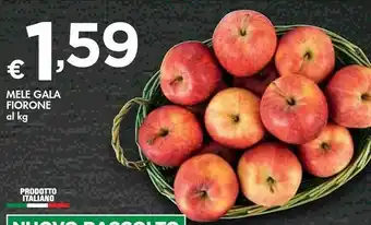 Bennet Mele Gala Fiorone offerta