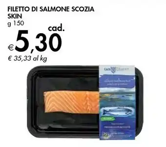 Bennet Filetto Di Salmone Scozia Skin offerta