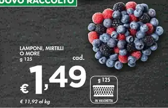 Lamponi, Mirtilli O More