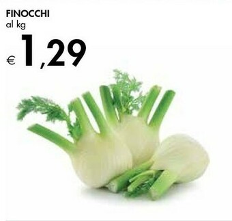 Finocchi