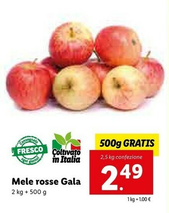 Lidl Mele Rosse Gala offerta