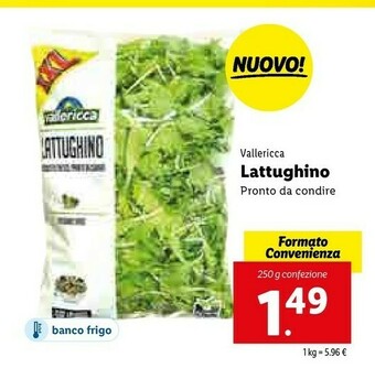 Lidl Vallericca Lattughino offerta