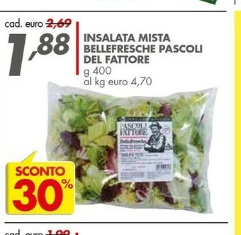 Italmark Insalata offerta