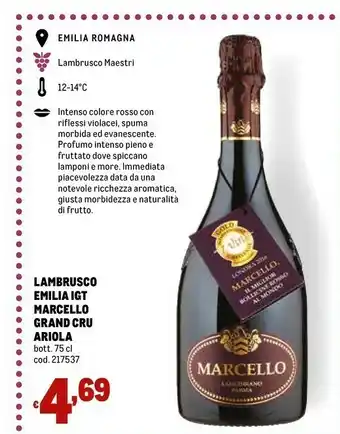 Metro Intenso Lambrusco offerta