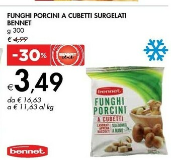 Bennet Bennet Funghi Porcini A Cubetti Surgelati offerta