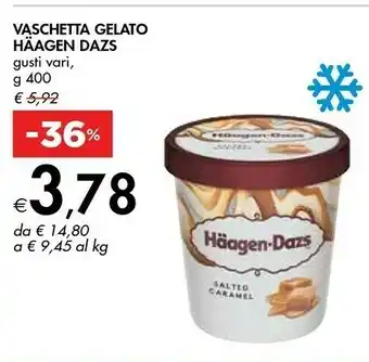Bennet Häagen dazs Vaschetta Gelato offerta