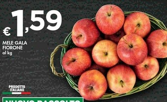 Bennet Mele Gala Fiorone offerta