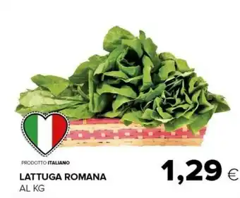 Tigre Lattuga offerta