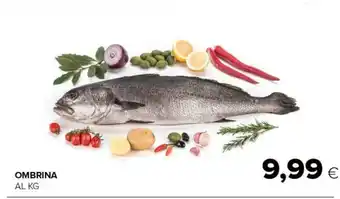 Tigre Tigre Ombrina offerta