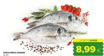 Tigre Tigre Orata Medio Grande offerta