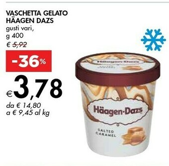 Bennet Häagen dazs Vaschetta Gelato offerta