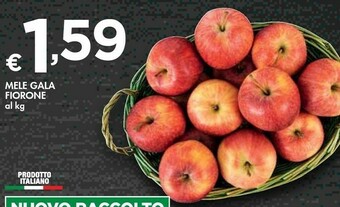 Bennet Mele Gala Fiorone offerta