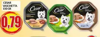 Risparmio Casa CESAR VASCHETTA 150 GR offerta