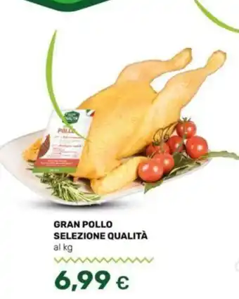 Oasi GRAN POLLO SELEZIONE QUALITÀ offerta