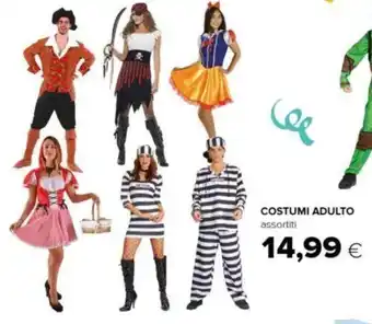 COSTUMI ADULTO assortiti