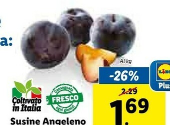Lidl Susine Angeleno offerta