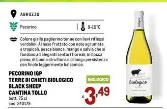 Metro Cantina tollo Pecorino offerta