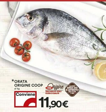 Coop Coop Orata offerta