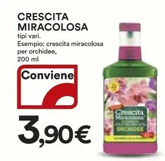 Giardinaggio