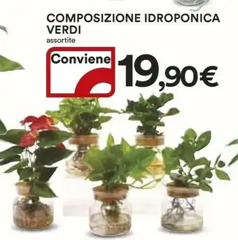 Coop Composizione Idroponica Verdi offerta