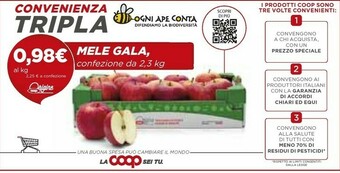 Coop Mele Gala offerta