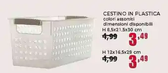 Happy Casa CESTINO IN PLASTICA colori assortiti offerta