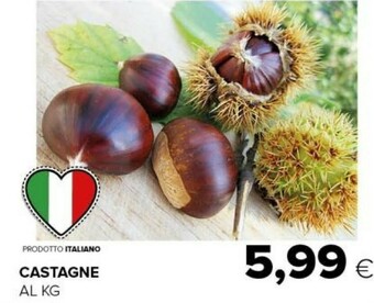 Tigre Castagne offerta