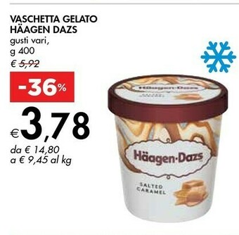 Häagen dazs Vaschetta Gelato