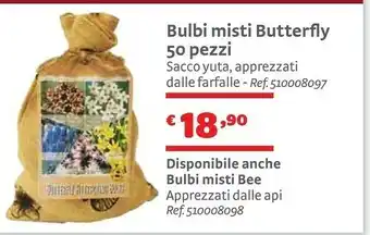 Bricocenter Butterfly Piante offerta