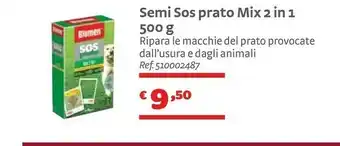 Blumen Prato