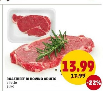 PENNY Carne offerta