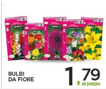 Despar Piante offerta