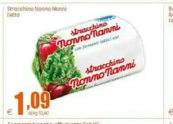 Elite Reginella Stracchino offerta