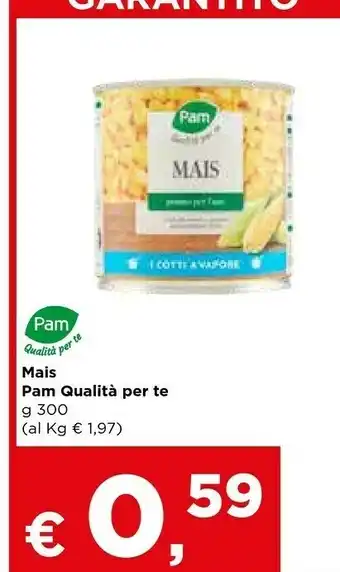 Metà Pam - Mais 300 G(ml) offerta
