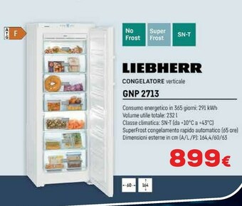 Euronics Liebherr GNP 2713-22 Congelatore Libera Installazione Verticale Bianco 221 L A++ offerta