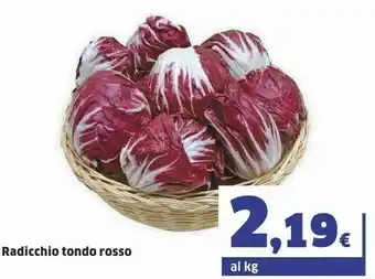 Sigma Radicchio Tondo Rosso offerta