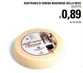 Basko Nostrano di Bruna Madonna Della Neve offerta